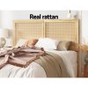 BED-HEAD-RIBO-D-WD-97963-03