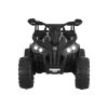 RCAR-MBIKE-ATV-L-BK-183796-02