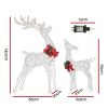 XMAS-MOT-2DEER-WARM-189926-01