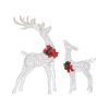 XMAS-MOT-2DEER-WARM-189926-02