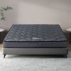 MATTRESS-B-BN16-Q-210278-06