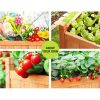 GARDEN-WOOD-BOX-90X2-215096-03