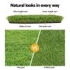 AR-GRASS-20-110M-4C-202502282026-03